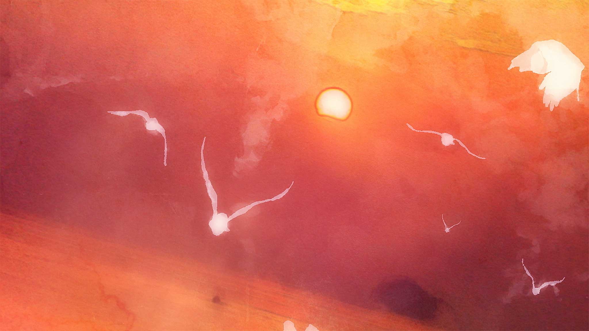 『ばらかもん』ED・夕空を飛ぶ鳥